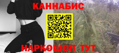 сатива Бийск