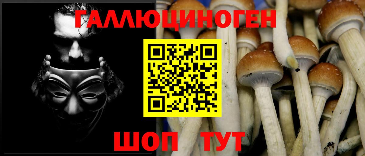 Галлюциногенные грибы Cubensis  Вход с VPN  Киселёвск 